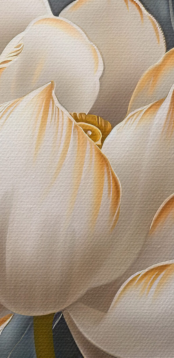 Close up of a flower