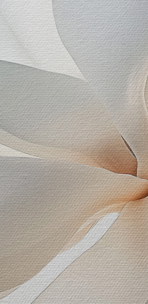 White flower with petals