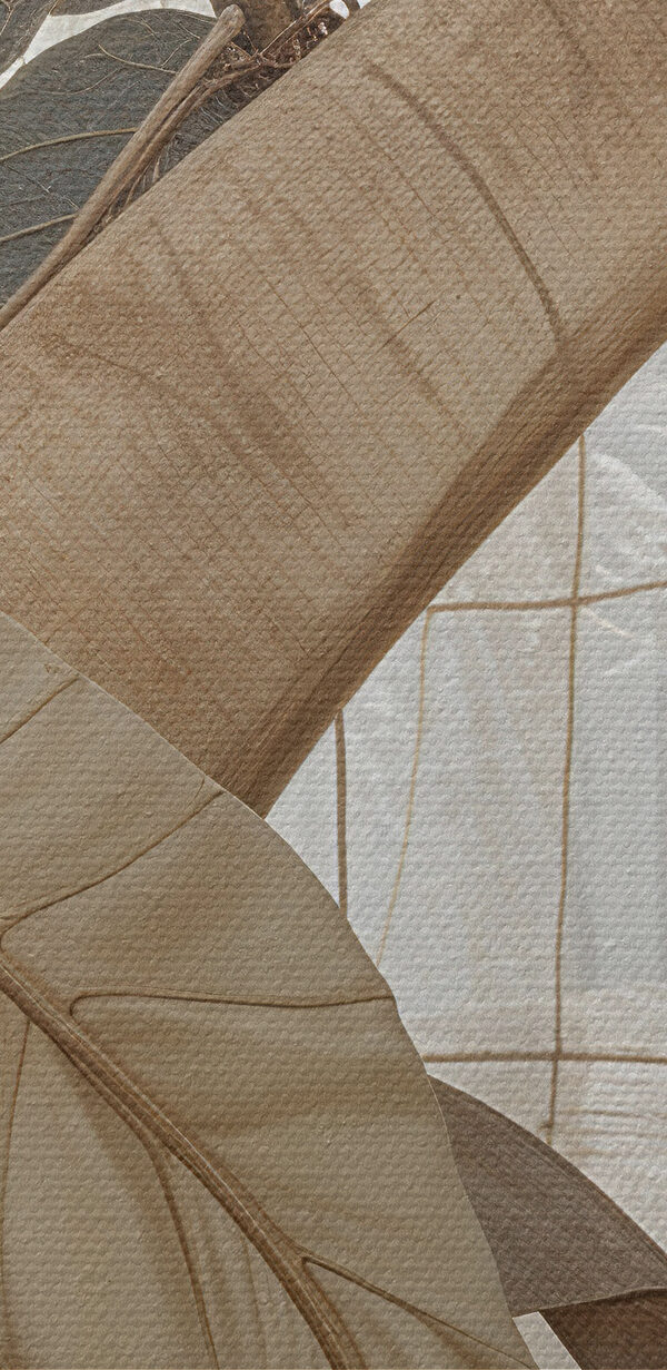 Close up of leaves