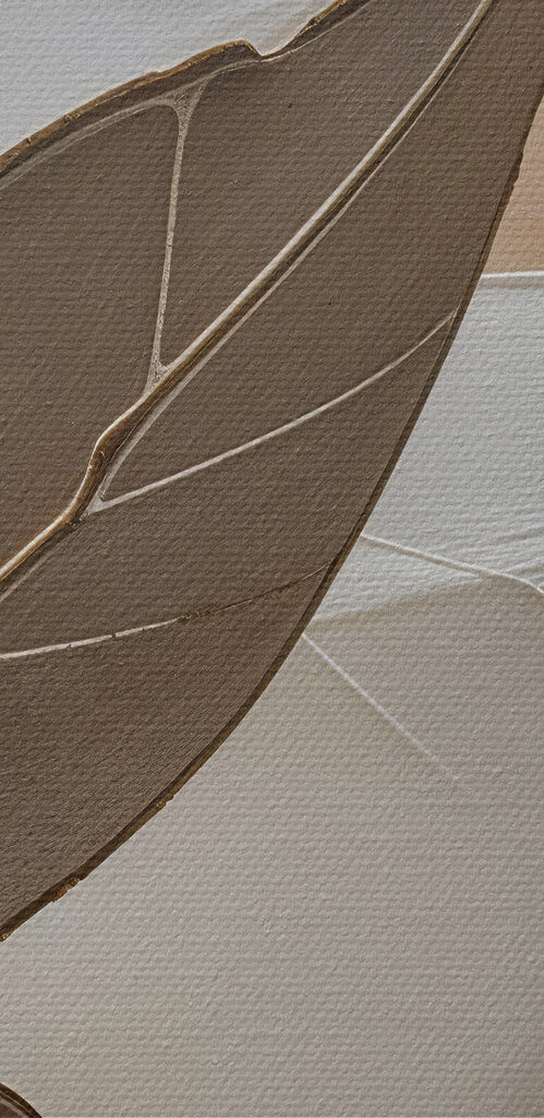 Close up of a leaf