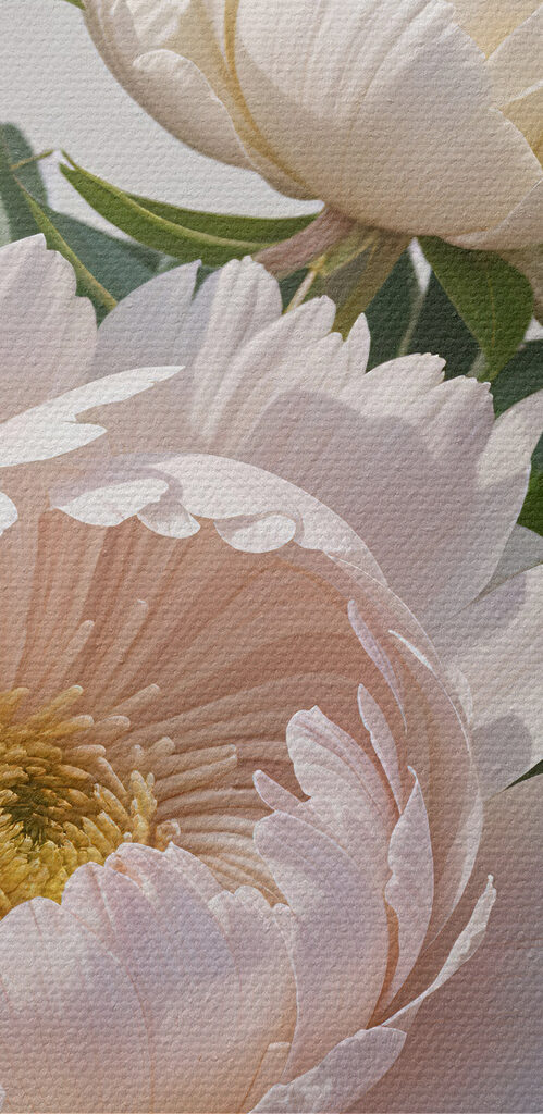Group of white flowers