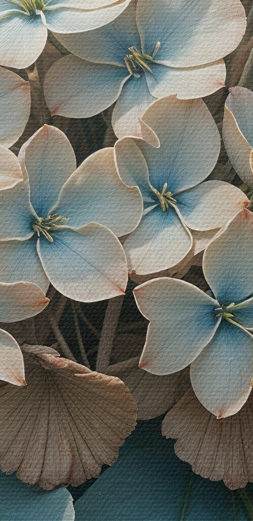 Close up of flowers Close up of flowers