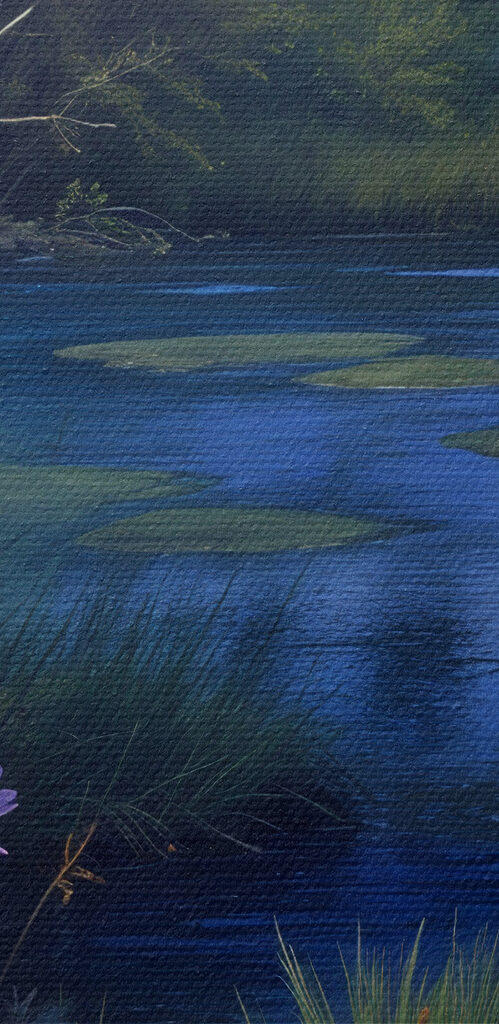 Pond with flowers and grass Pond with flowers and grass