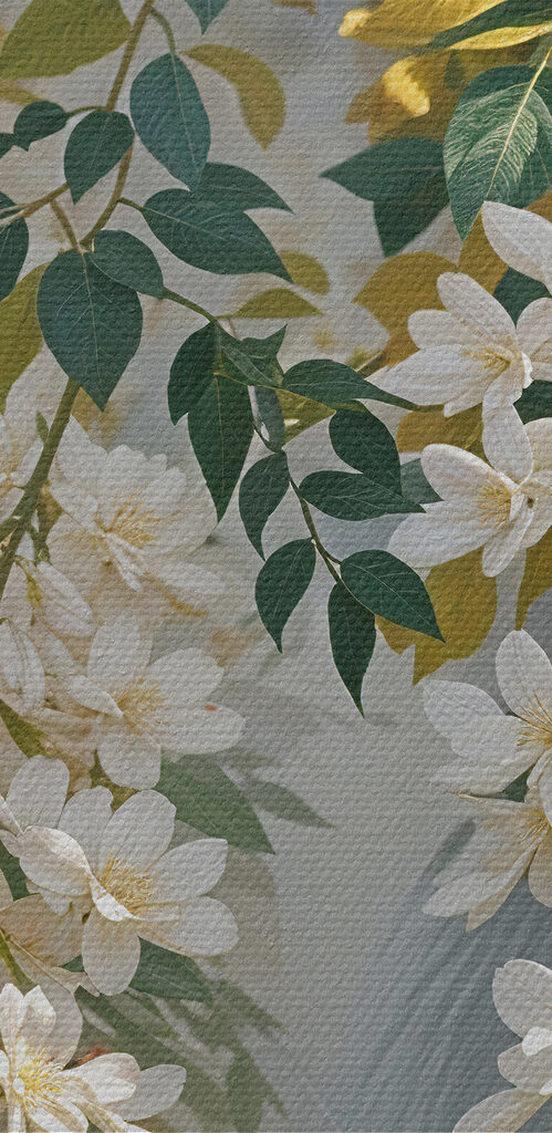 Close up of a white flower