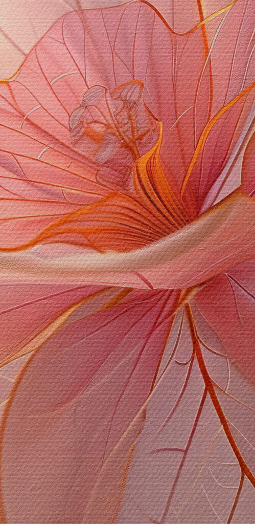 Close up of a flower Close up of a flower