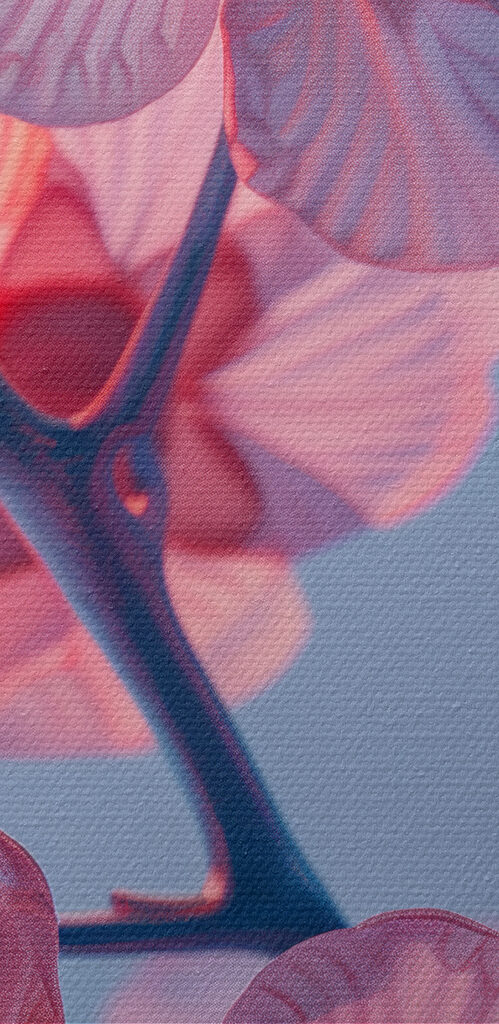 Close up of a flower