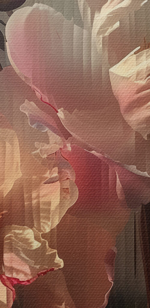 Close up of flowers