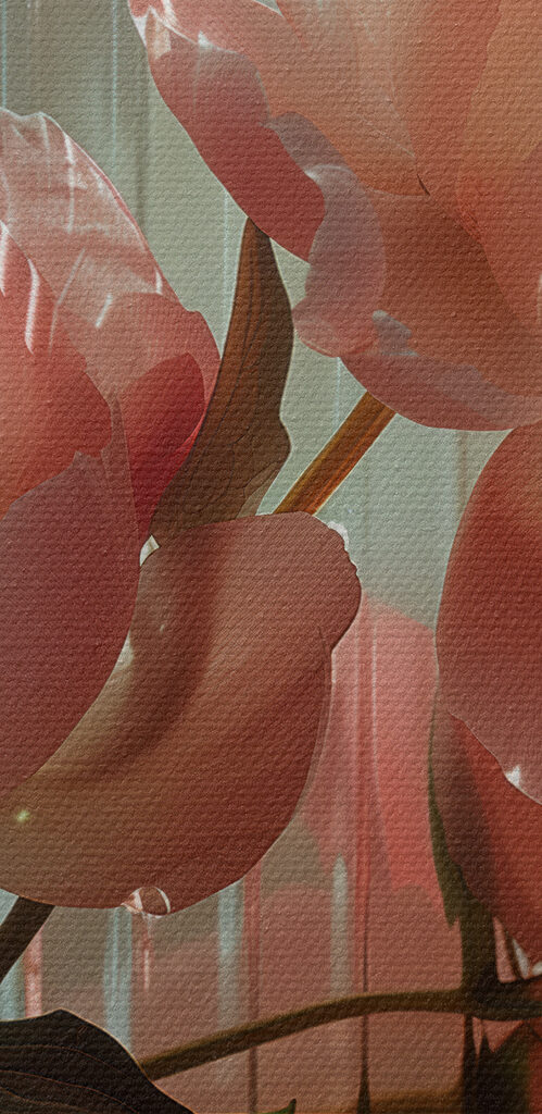 Close up of flowers