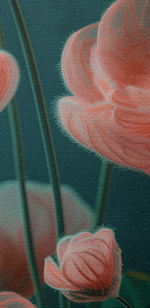 Close up of flowers