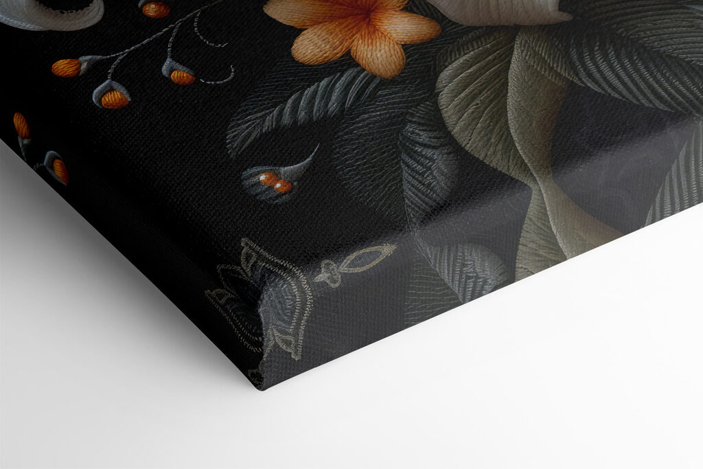 White and orange flowers on a black background White and orange flowers on a black background