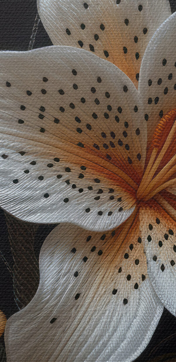 White and orange flowers on a black background White and orange flowers on a black background