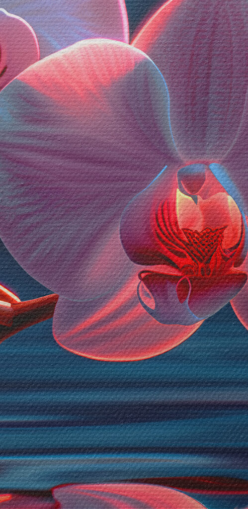 Close up of flowers