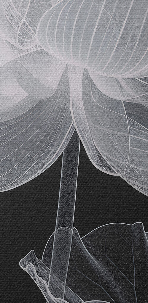 Flower with leaves and a flower bud Flower with leaves and a flower bud