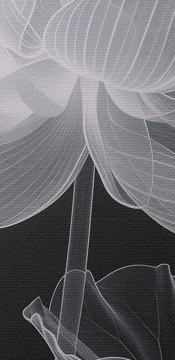 Flower with leaves and a flower bud Flower with leaves and a flower bud