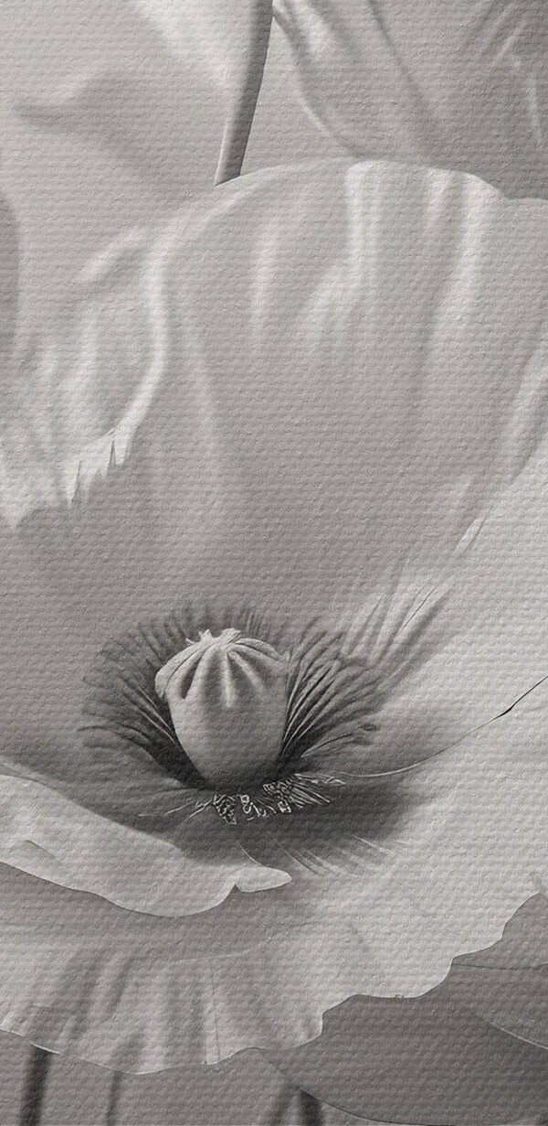 Group of white flowers