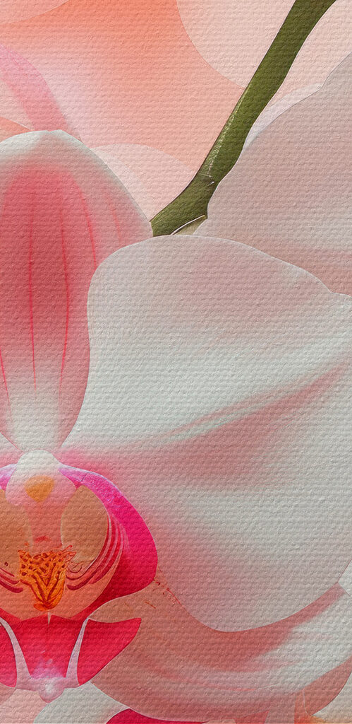Close up of flowers