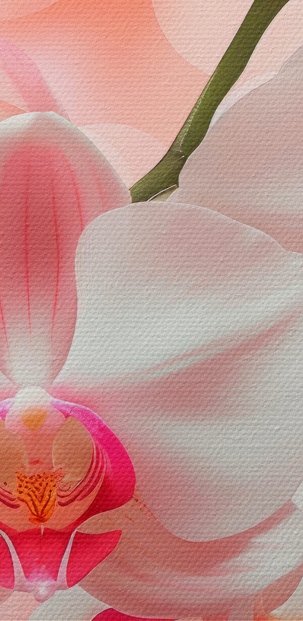 Close up of flowers
