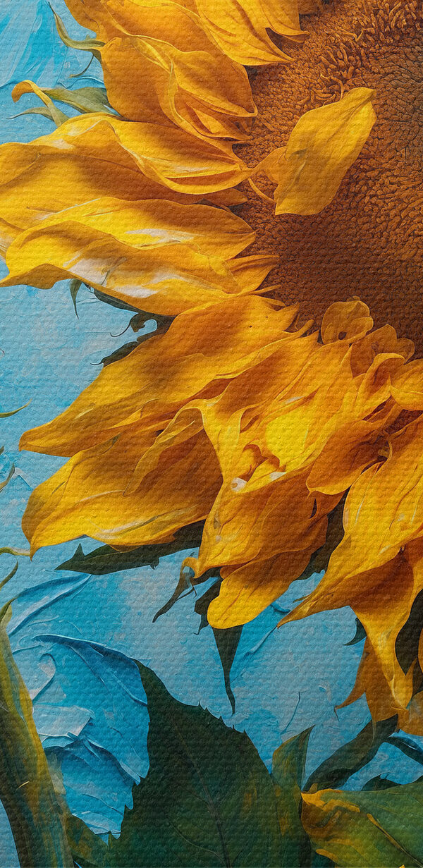 Close up of a sunflower