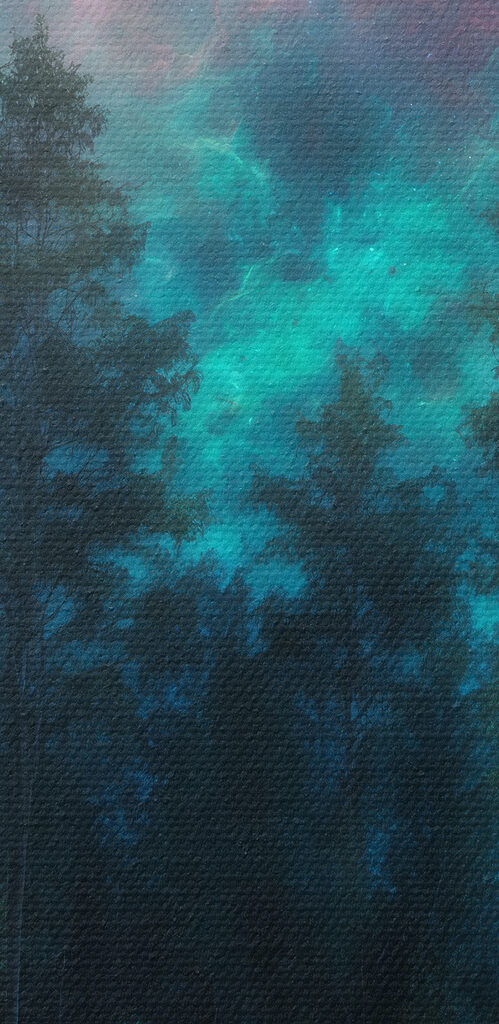Moon in the sky over a forest