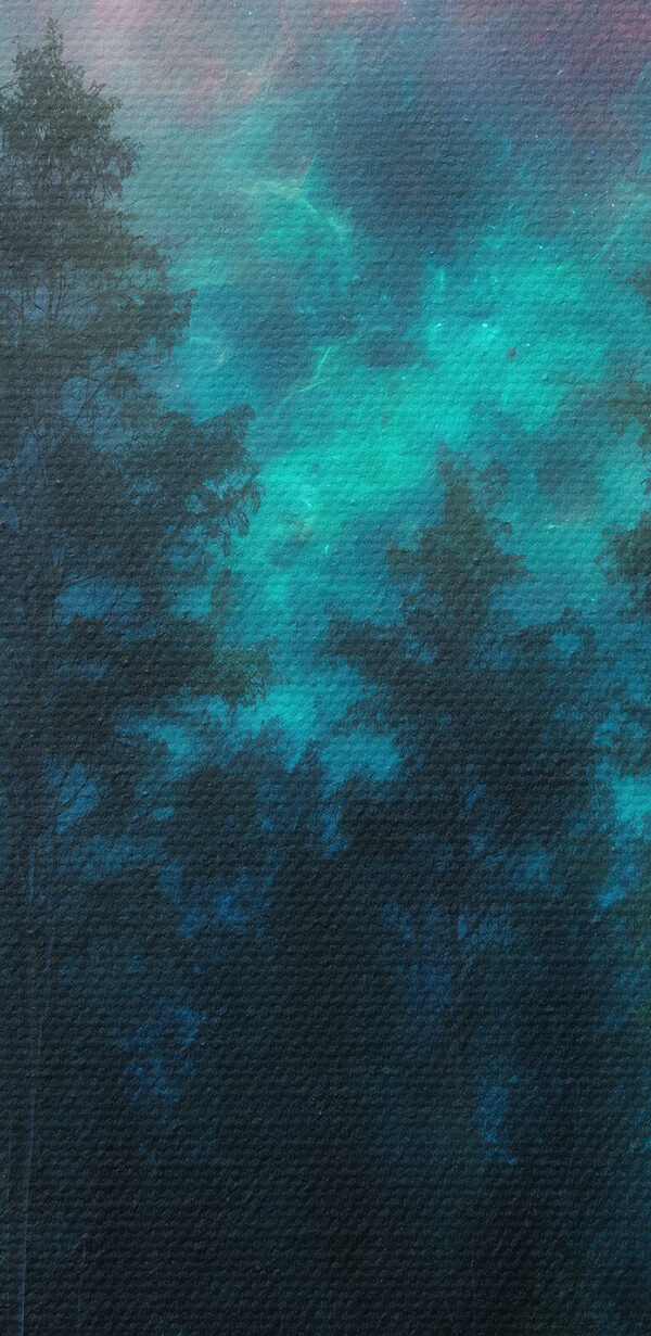 Moon in the sky over a forest