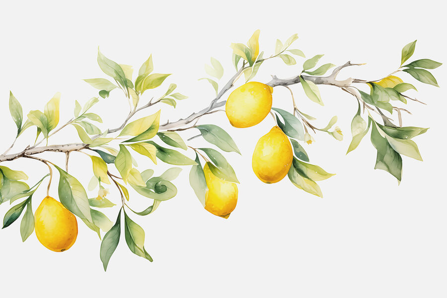 Ramo di limone con frutti gialli