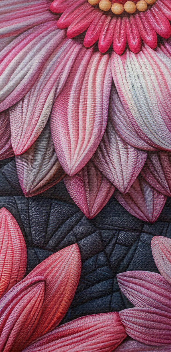 Group of pink flowers