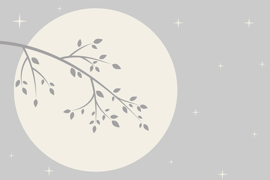Ramo di albero con foglie