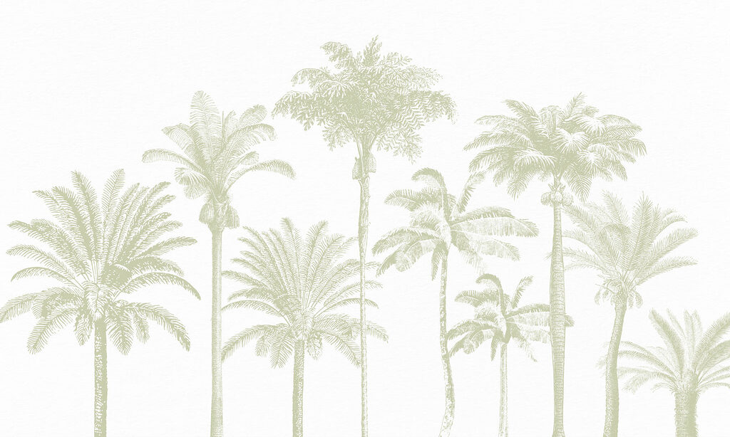 Gruppo di palme Gruppo di palme
