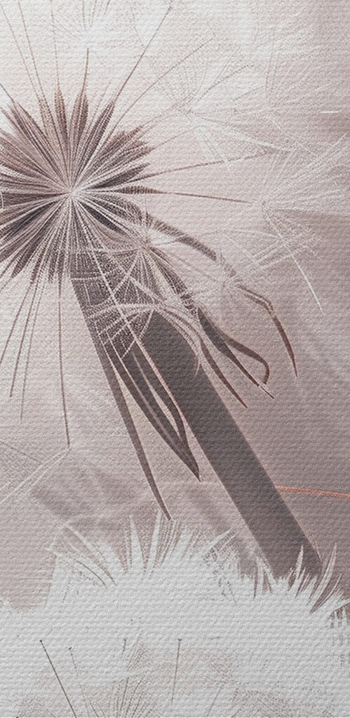 Close up of a flower