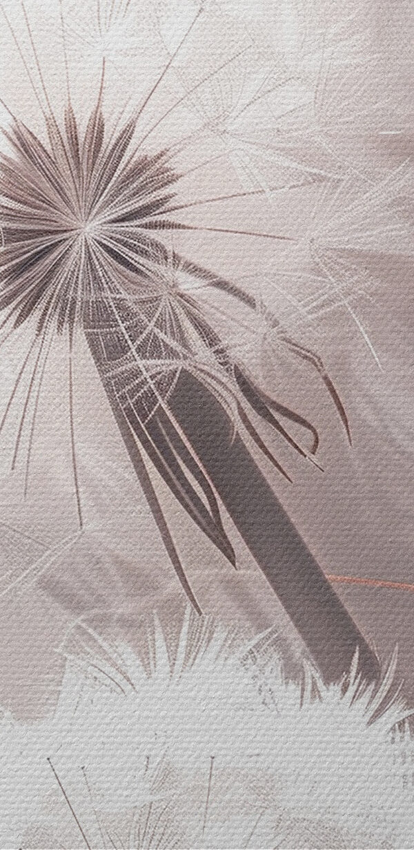 Close up of a flower