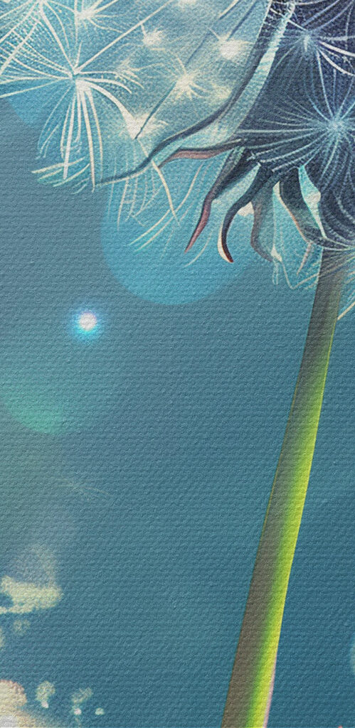 Dandelion with a blue sky and clouds