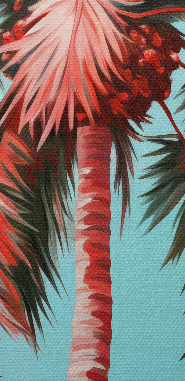 Palm tree with pink leaves Palm tree with pink leaves