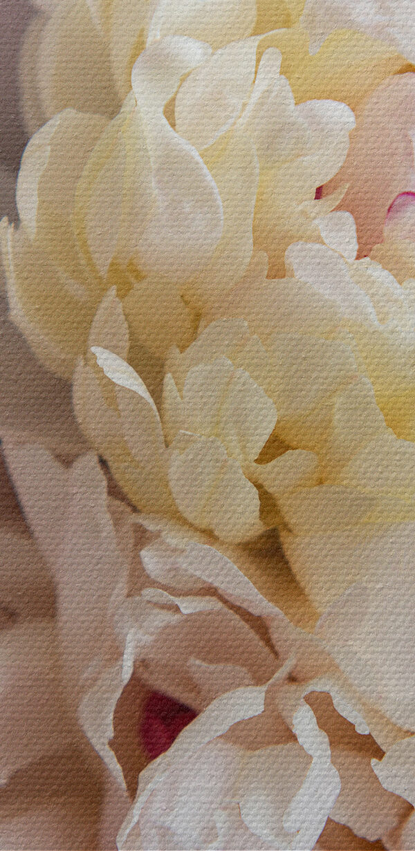 Close up of a flower