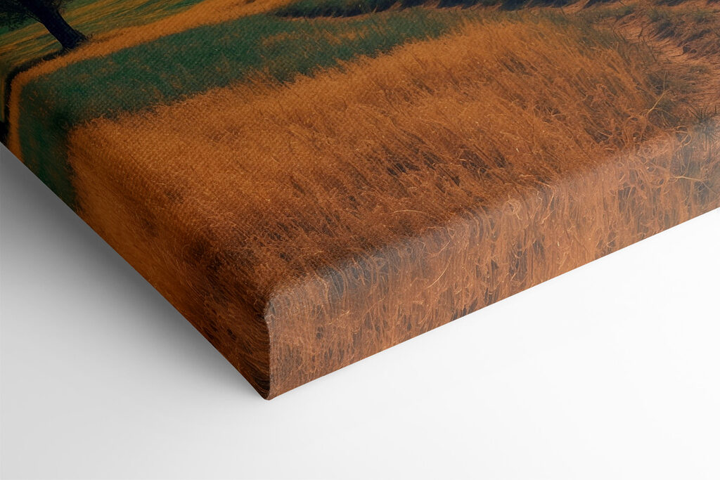 Landscape with trees and hills Landscape with trees and hills