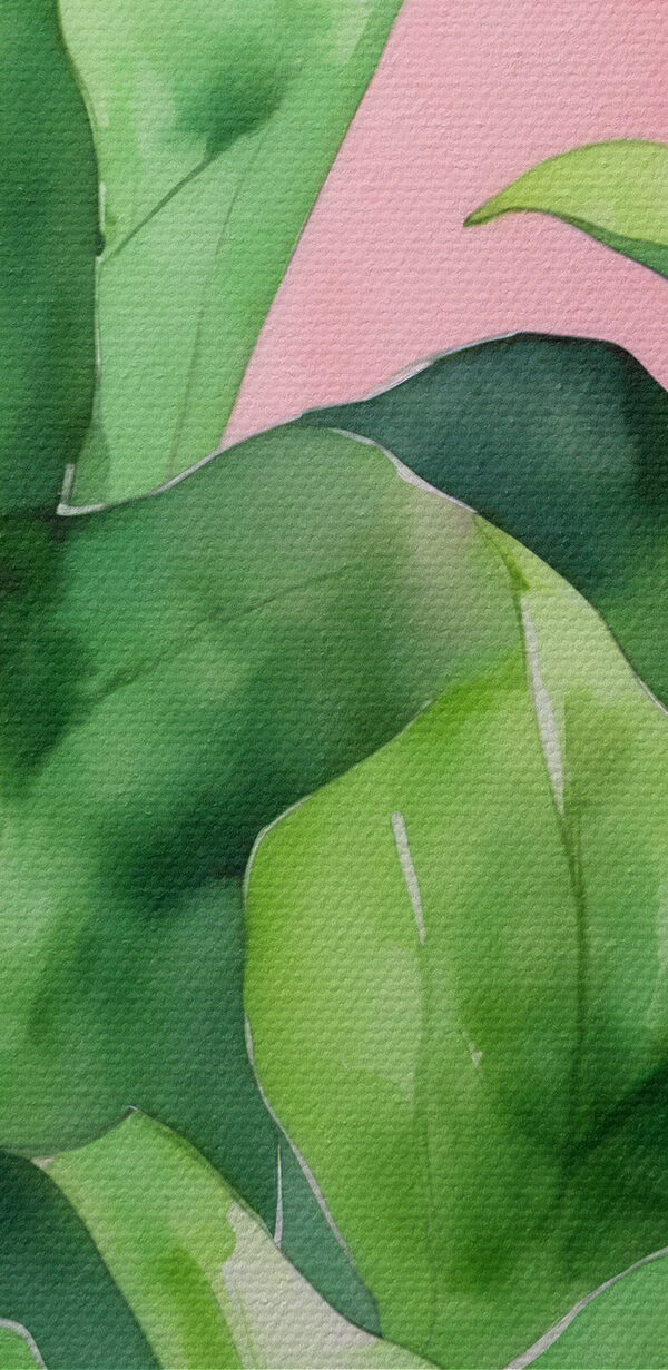 Close up of a plant