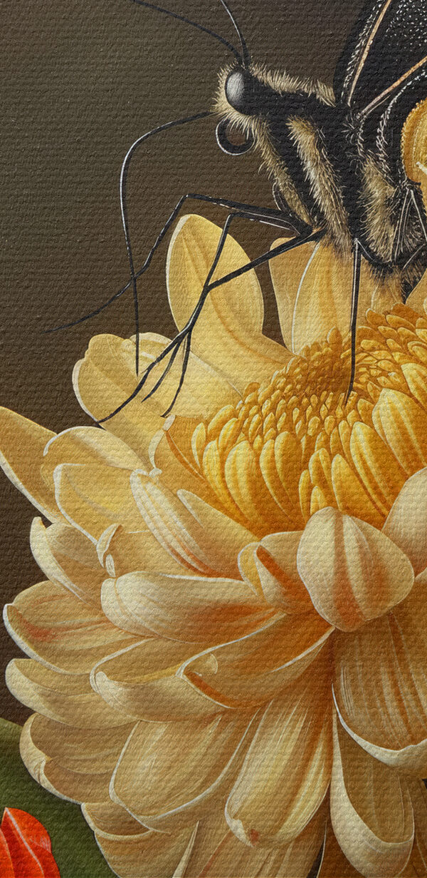 Butterfly on a flower