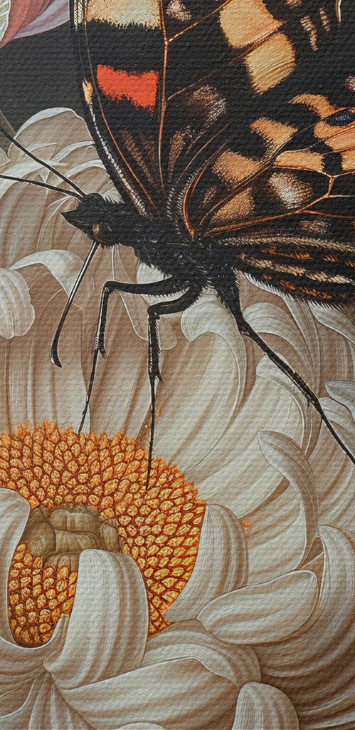 Butterfly on a flower