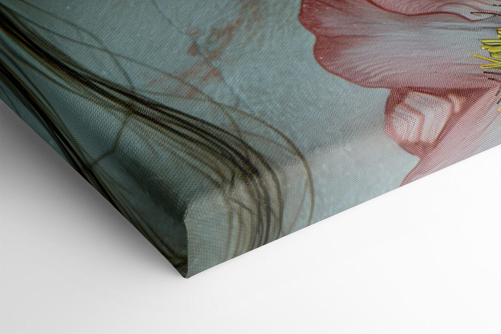 Close up of a woman's eyes and a flower Close up of a woman's eyes and a flower