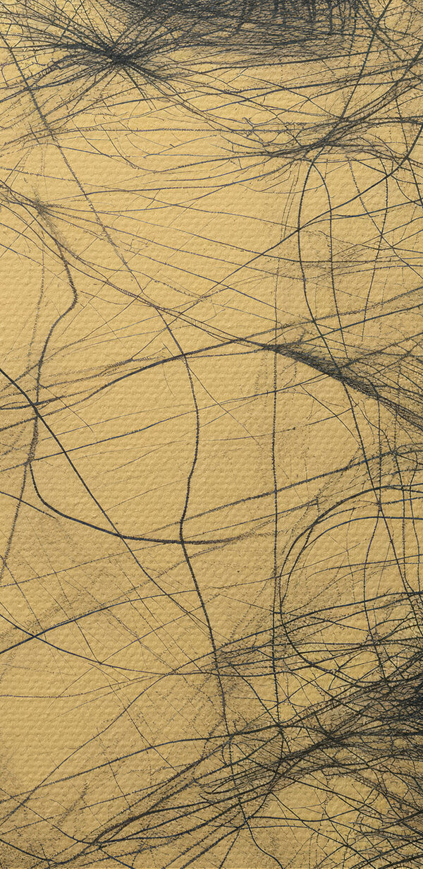 Drawing of a woman's face