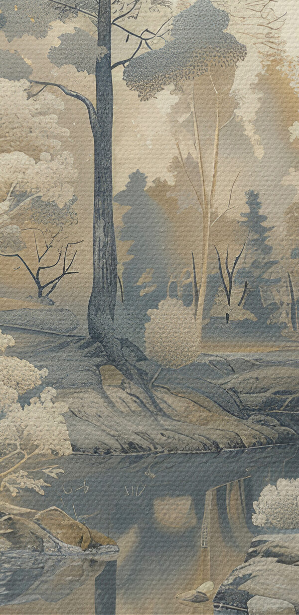 River running through a forest River running through a forest