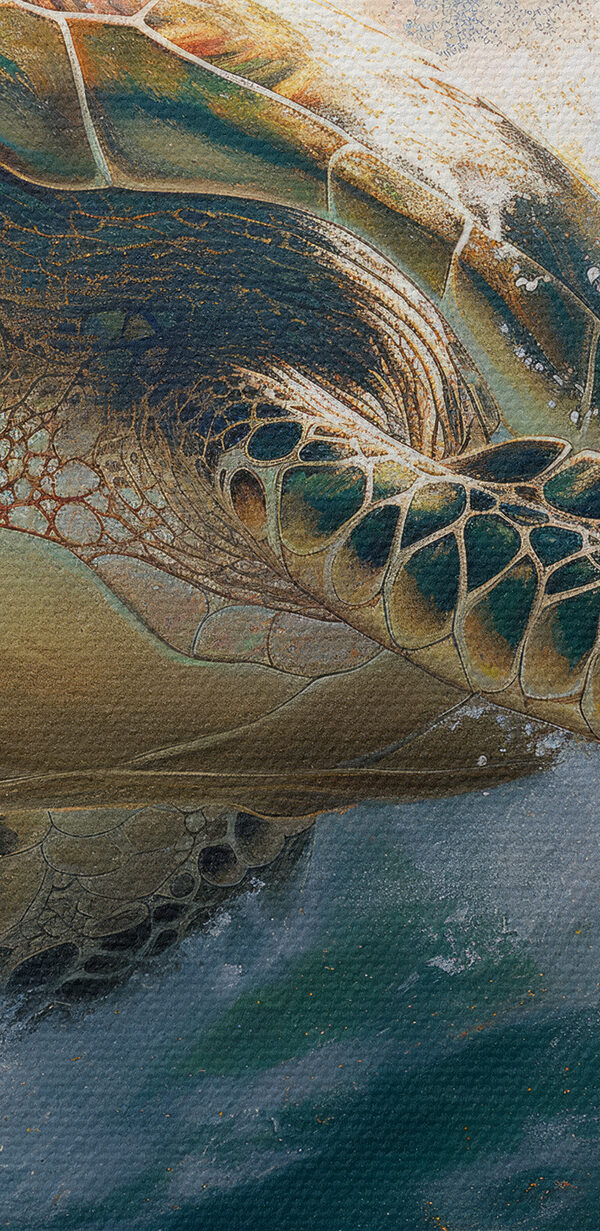 Sea turtle swimming in the ocean Sea turtle swimming in the ocean