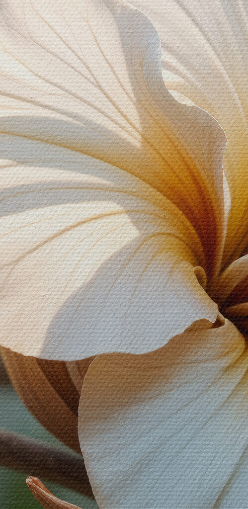 Close up of a flower