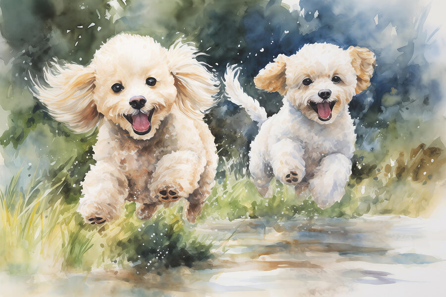 Carta da parati Due cani che saltano in aria - immagine 3