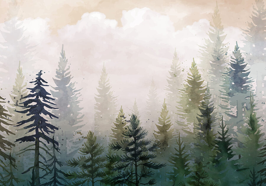 Pittura di alberi nella nebbia