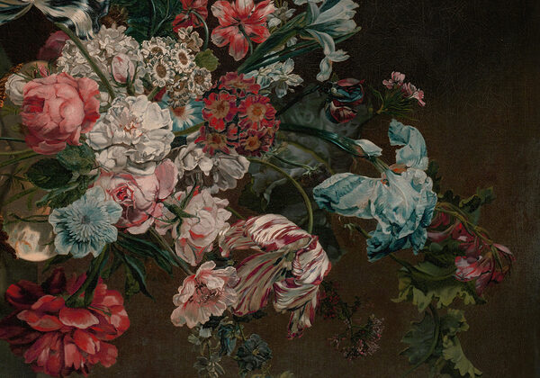 Pittura di fiori su sfondo scuro Pittura di fiori su sfondo scuro