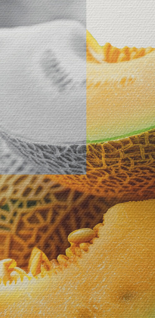 Melon cut in half Melon cut in half