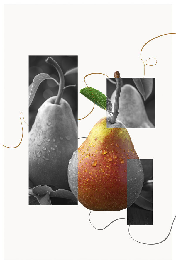 Pear with water drops on it Pear with water drops on it