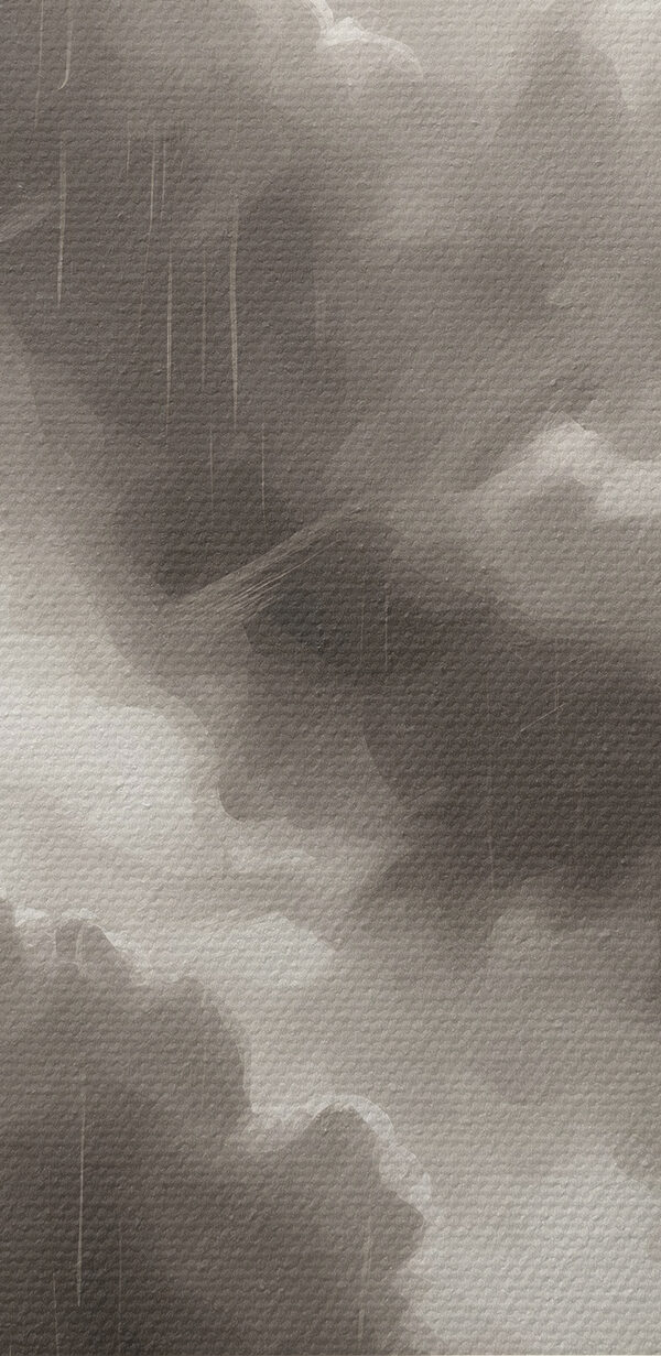 Black and white image of trees and rain Black and white image of trees and rain