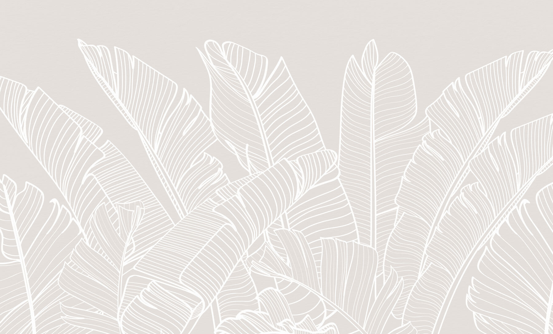 Close up of leaves Close up of leaves