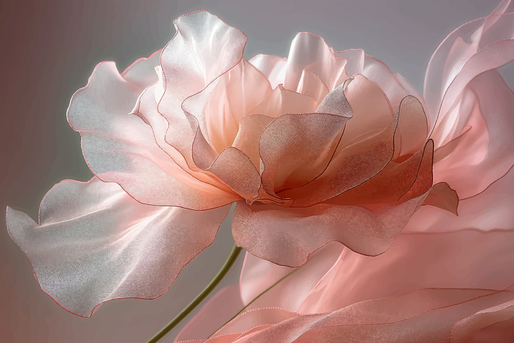 Close up of a flower